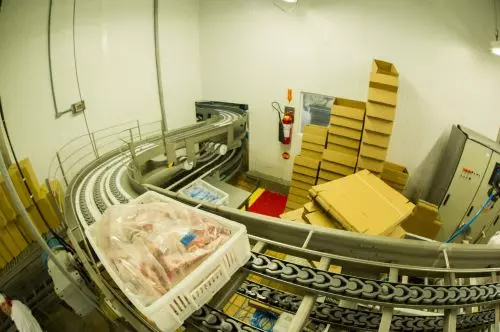 MERCADO CRESCENTE | Exportações de carne suína do Brasil crescem em maio de 2025